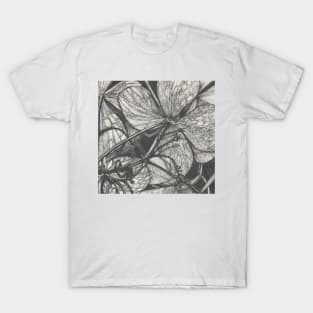 Botanical Study T-Shirt